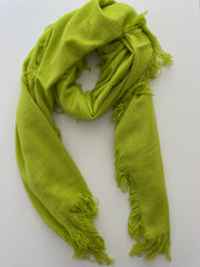 SAMPLE SALE Cashmere shawl MG fringe