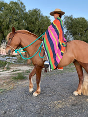 Cashmere Blanket Santos